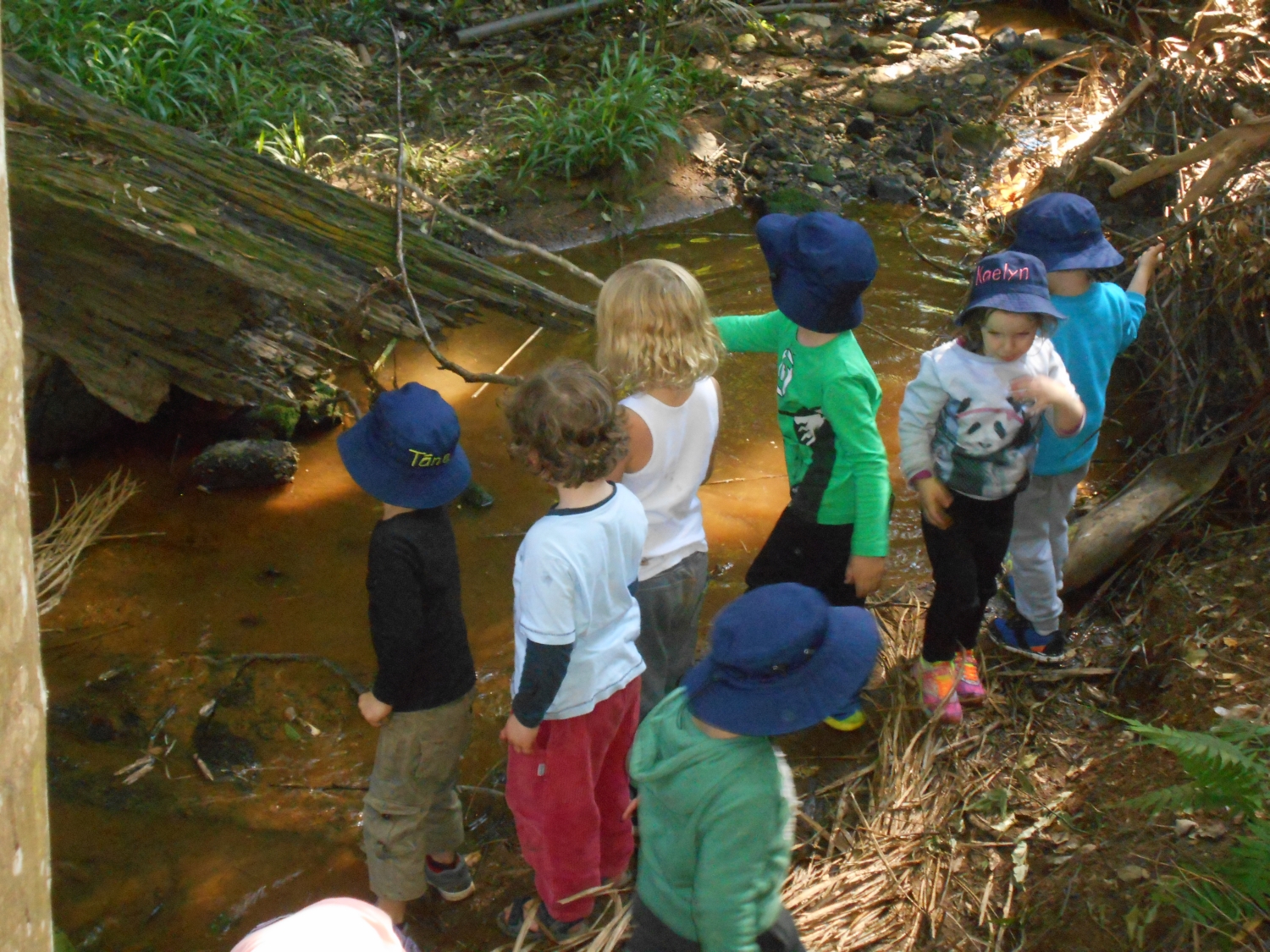 Kids Bush Kindy Bliss — Educationhq Australia