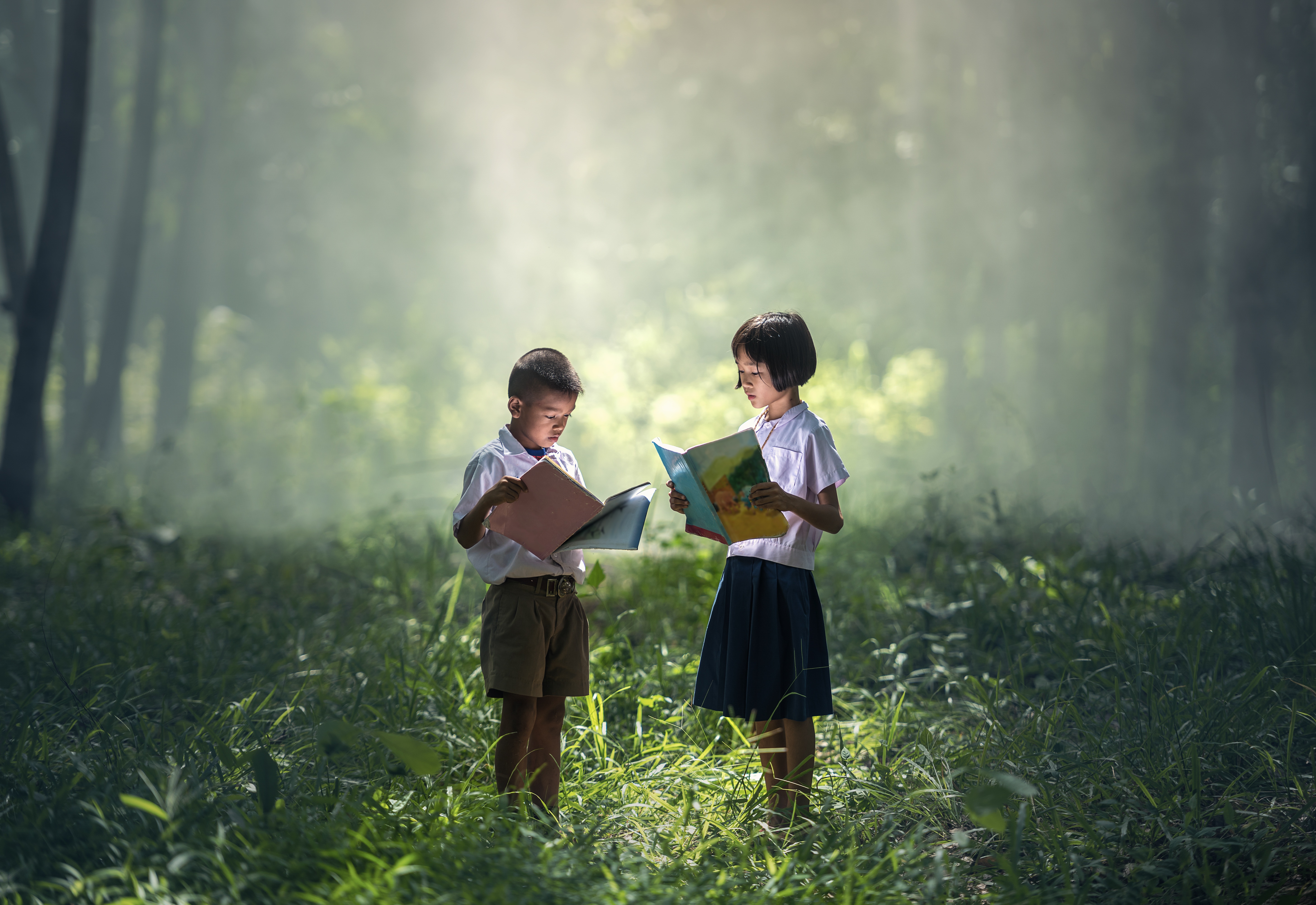 Imagining ru. Книги для детей. Чтение на природе. Дети и природа. Мальчик на природе.