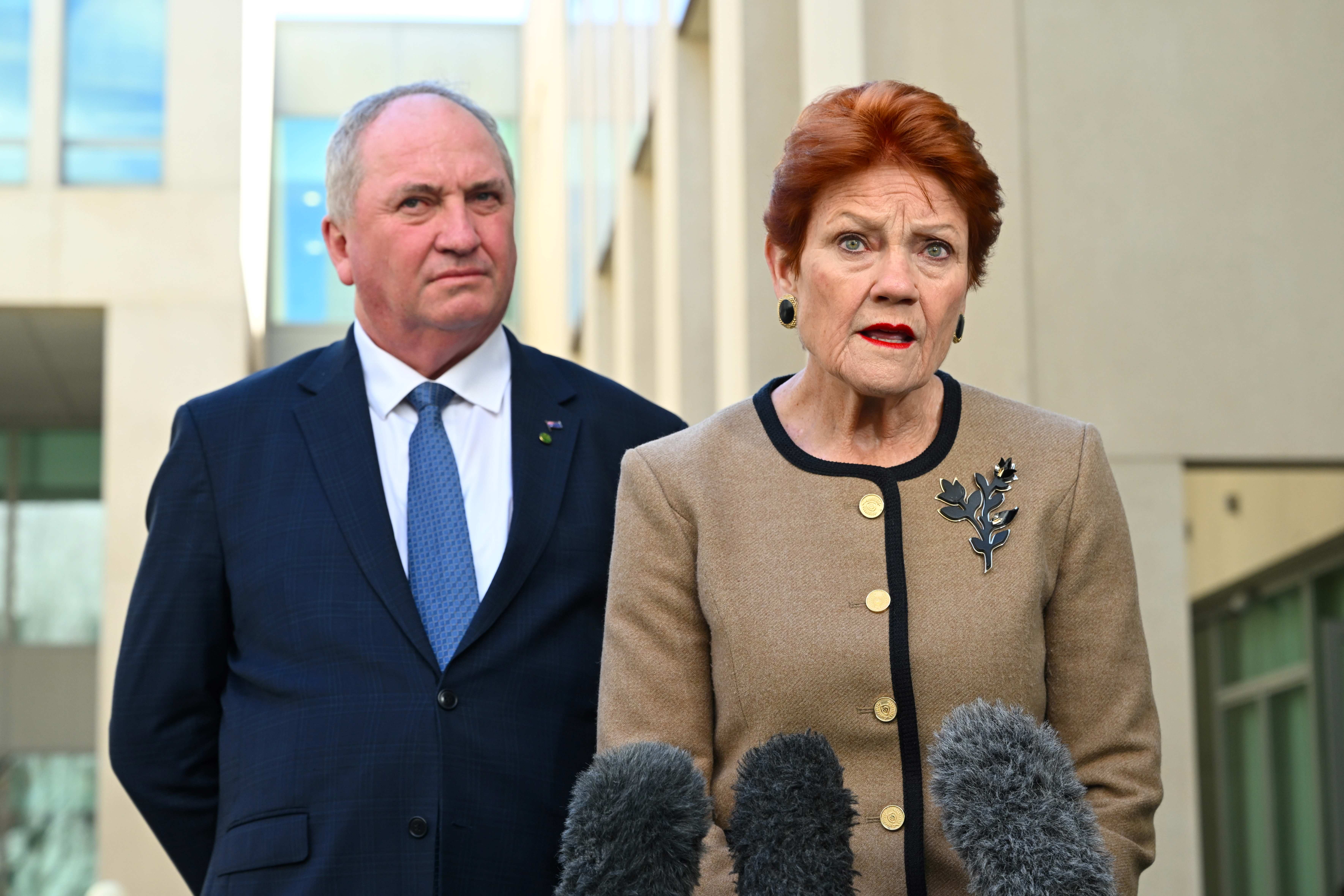 ‘Confront the teacher’: Hanson urges parents to fight back against left-wing ‘brainwashing’
