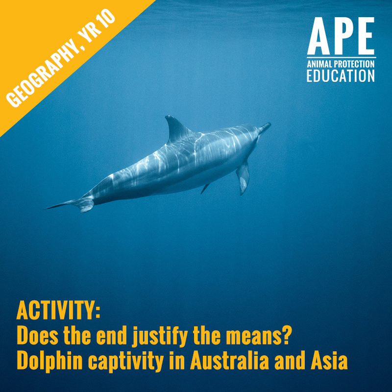 Captivity critical essays 03 image