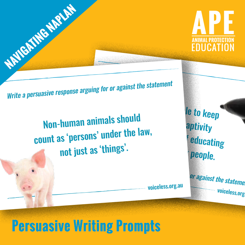 Worksheet Navigating NAPLAN Persuasive Writing Prompts — EducationHQ