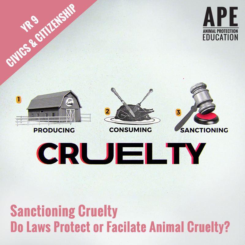 Comparing Cruelty Lesson Plan - Sanctioning Cruelty: Do Laws Protect or