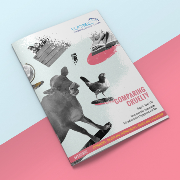 Lesson Booklet - Comparing Cruelty — EducationHQ